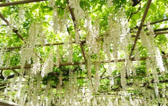 62515dcb02b07bbeed4f008d0bd86c70